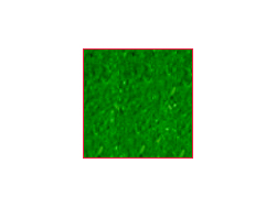シーナリーパウダー CP-1 春の緑 [10301]
