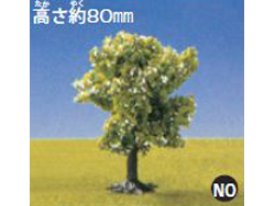 NOCH シナの木 [00122180]