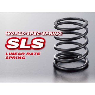 WORLD SPEC SPRING SLS C2.5 White/Silver [ST-SL-011]]