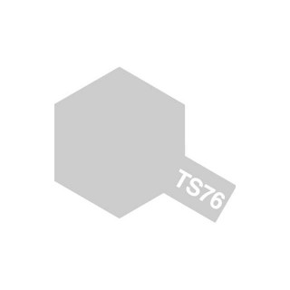 TS-76 マイカシルバー [85076]]
