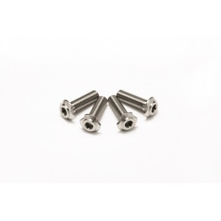 チタンロープロヘッドビス(M3x10mm) [HS-48856]