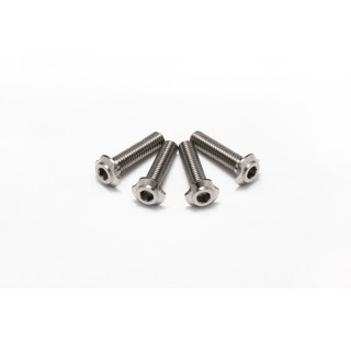 チタンロープロヘッドビス(M3x12mm) [HS-48857]