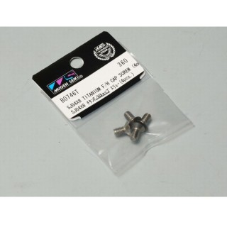 SJG4x8チタンF/Hスクリュー(4pcs) [B0746Ta]