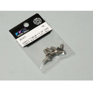SJG4x10チタンF/Hスクリュー(8pcs) [B0747Ta]