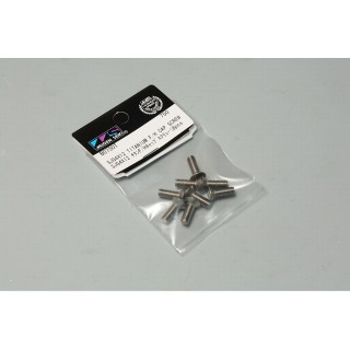 SJG4x12 チタンF/Hスクリュー(8pcs) [B0750Ta]