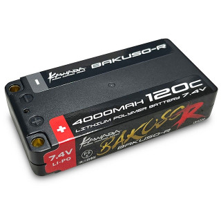 1Sサイズリポ7.4V4000-120C [LBA220]