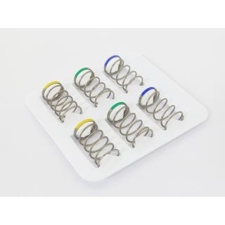 PRO GRESS スプリングR30セット [WP-0069A]