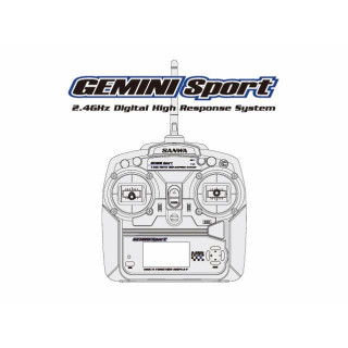 【予約】 GEMINI Sport(RX-391W/PC) *101A32801A