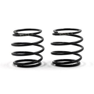 バレルスプリング5.0P20N 2pcs [XP-11210]