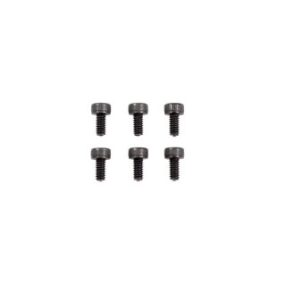 M2×4mm キャップヘッドスクリュー 6pcs [B03204]