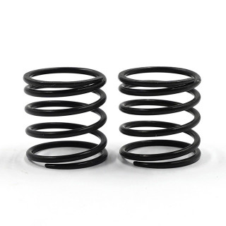 AXON製ツーリング用スプリングSLS C2.5-2.8 17.5mm 1ペア [XP-11342]