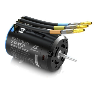 Classic Black Stayer Brushless Motor (21.5T) [G0423]