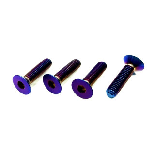 64チタン焼き色付きフラットヘッドスクリューM3x12mm [KN-64TI04]