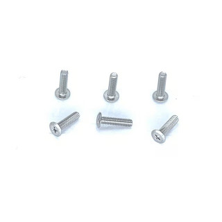 ステンレス極薄ヘッドビス M2×8mm 十字型 6pcs [NGS-208]