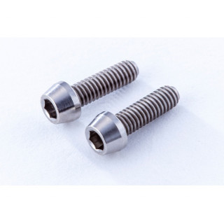 SPM チタン製 キャップスクリュー(M2.5×8mm、2個入) [RT-C258]