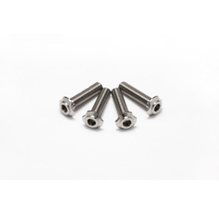 64チタン切削ロープロヘッドヘックススクリューM3×12(4pcs) [HS-48857B]