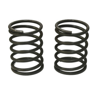 TITAN FLEX Spring 24mm ソフト 2本入 [TP-725S]