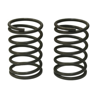 TITAN FLEX Spring 27mm ハード 2本入 [TP-726H]